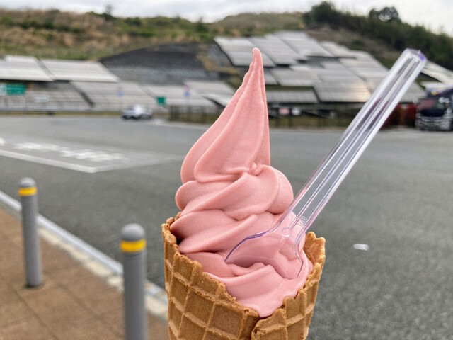 山田サービスエリア(下り線)スナックコーナー的實拍高清圖