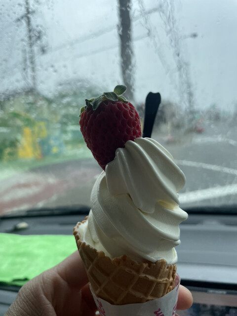 recommendations image for cafe POKO POKO Soft serve ice cream