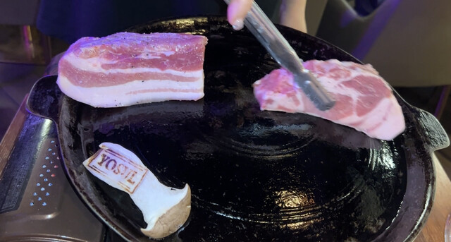 YOSUL的實拍高清圖