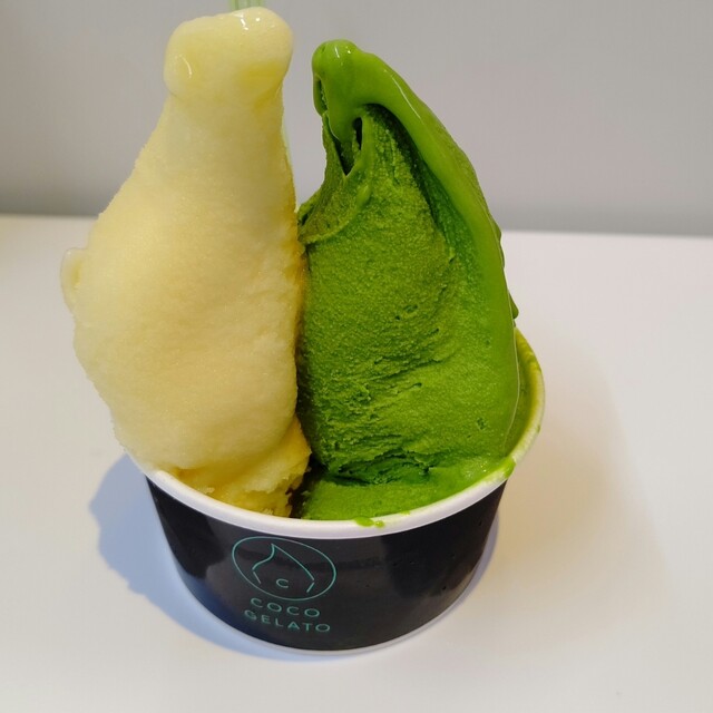 COCO GELATO 糸島店的實拍高清圖