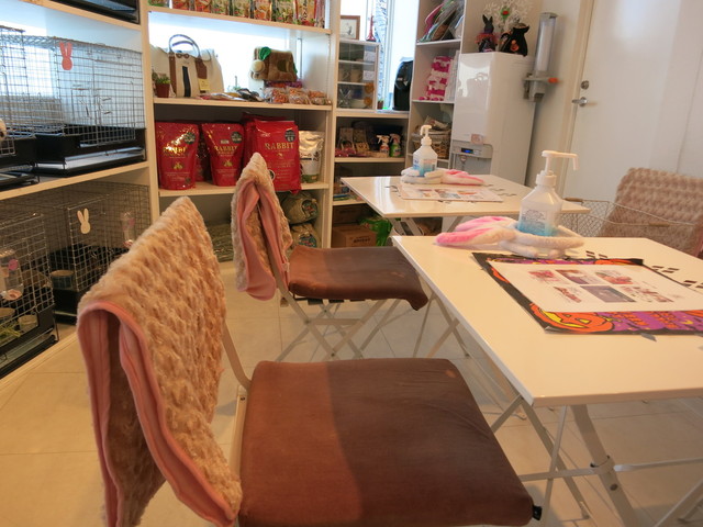 recommendations image for ミス・バニー