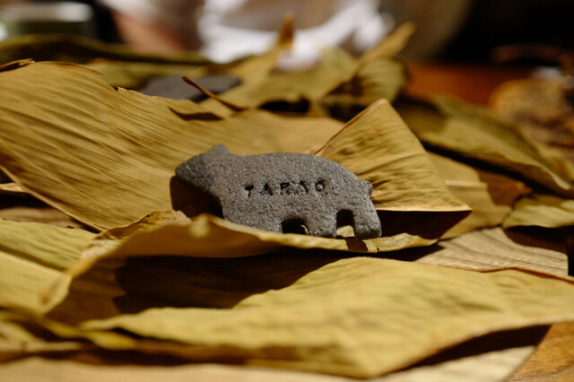 TAKAO的实拍高清图