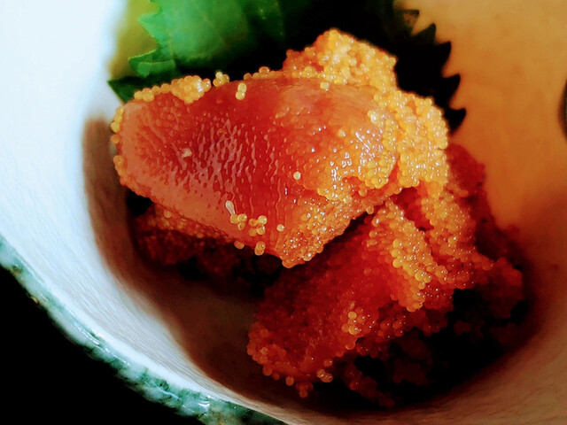 力丸的实拍高清图