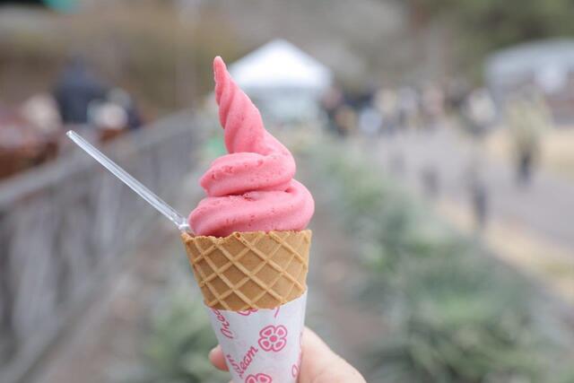 森のカフェ的實拍高清圖