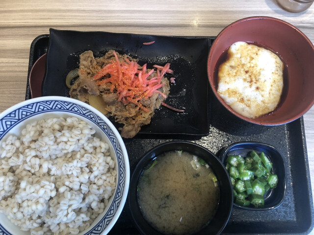 吉野家 鴻池新田店的实拍高清图