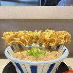 recommendations for 島田本気うどん