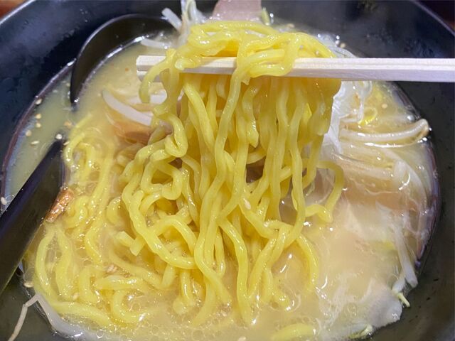 OHYACHI NOODLE HARU的实拍高清图