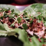 recommendations for 星の庵 風の色