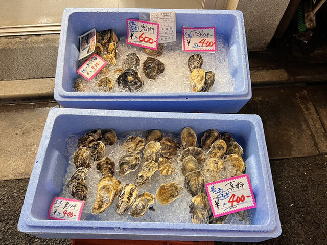 おさかな 魚四季的實拍高清圖