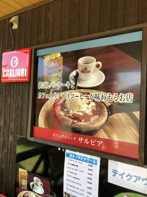 サルビア的实拍高清图