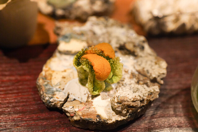 MAZ的實拍高清圖