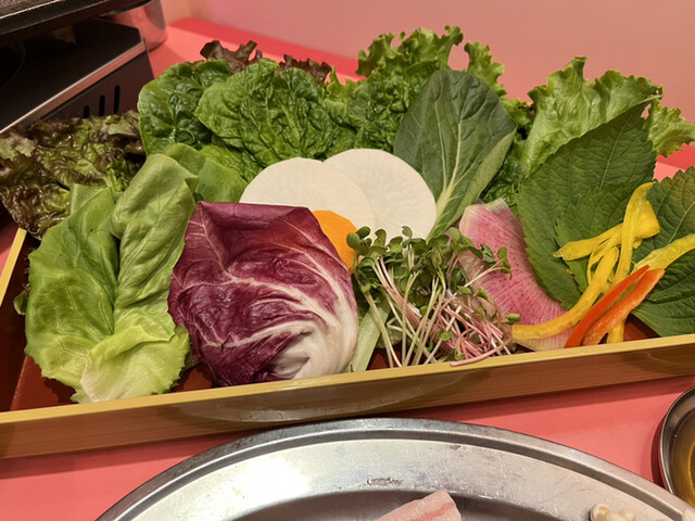 recommendations image for 韓国料理 サムギョプサル ナッコプセ ばぶばぶ 梅田店