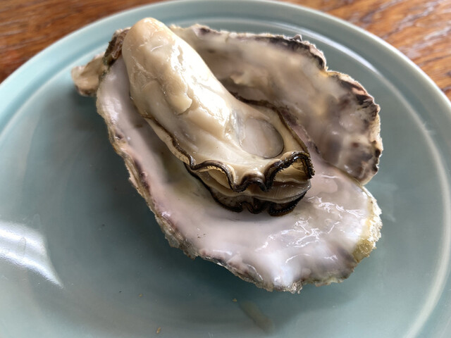 魚庄 糸島 大原店的實拍高清圖