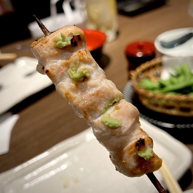 あほう鳥的實拍高清圖