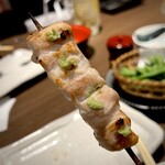 あほう鳥的實拍圖