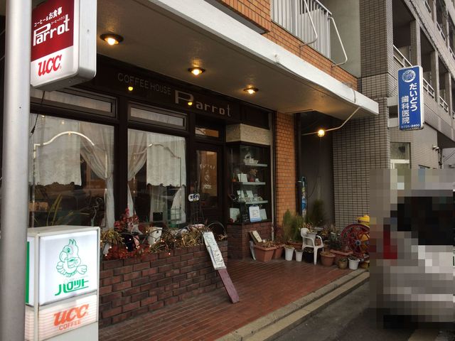パロット的实拍高清图