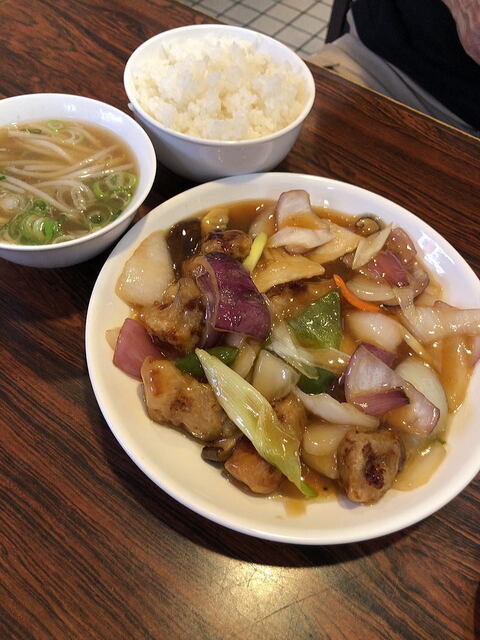茉莉花的实拍高清图
