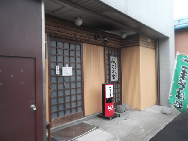 うさぎ家的实拍高清图