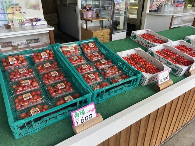 さくらんぼ山観光農園的實拍高清圖