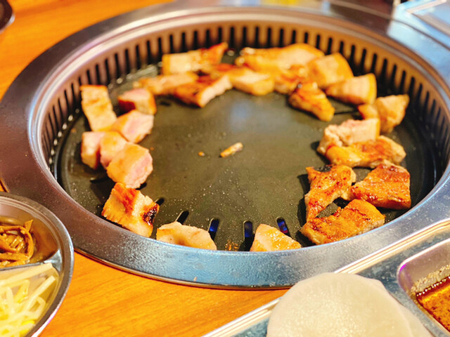 黒門豚美人的實拍高清圖