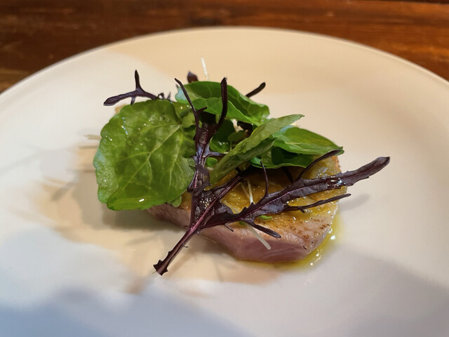 sacae的实拍高清图