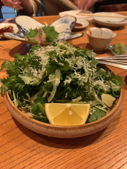 祐天寺 Bob的實拍高清圖