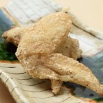 博多ひさご的实拍图