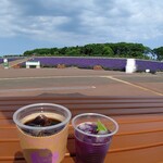 recommendations for 花のCAFE