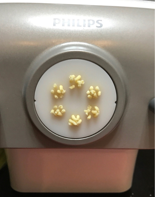 サミットストア 成城店的實拍高清圖