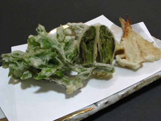 菜の介的实拍高清图
