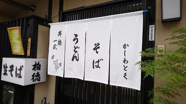 柏徳的实拍高清图