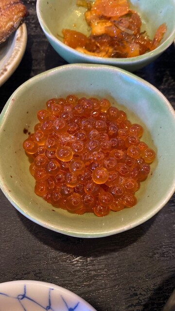 菊水的实拍高清图