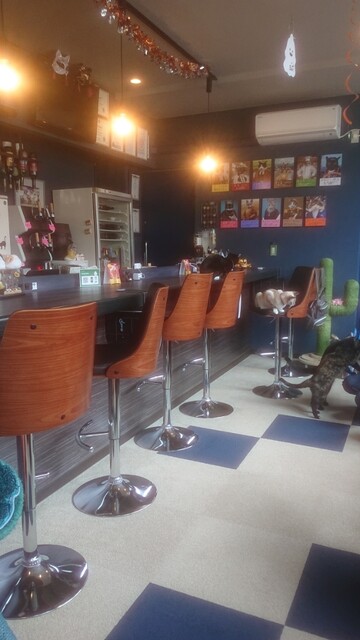Cafe&Diningbar With Cat's Lamp的实拍高清图