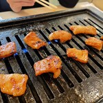 河童的實拍圖
