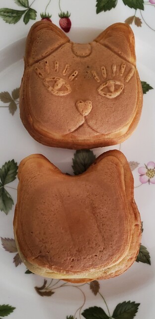 猫間的實拍高清圖