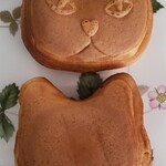 猫間的實拍圖