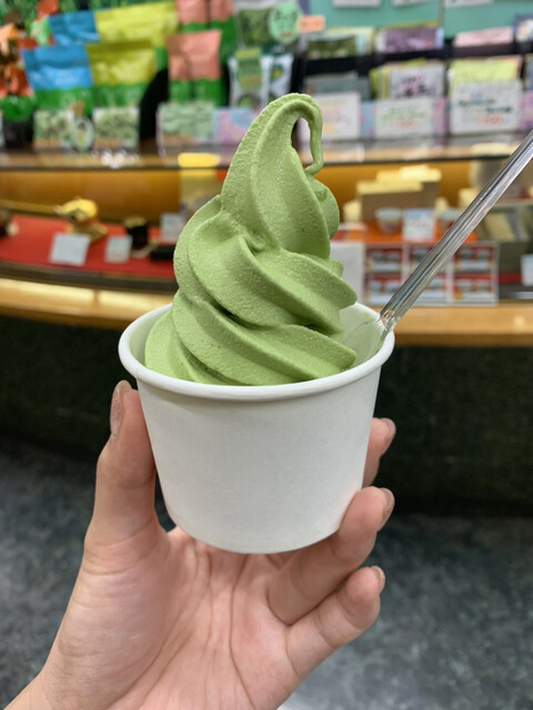茶の君野園的實拍高清圖