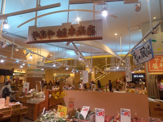 やおや植木商店的实拍高清图