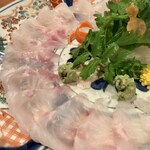 recommendations for 浜ふじ