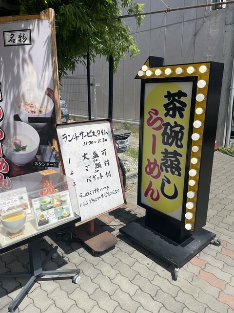 丹頂的实拍高清图
