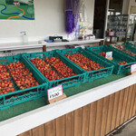 さくらんぼ山観光農園的實拍圖