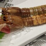 recommendations for ふる川