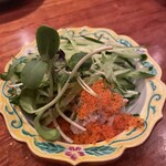 祐天寺 Bob的實拍圖