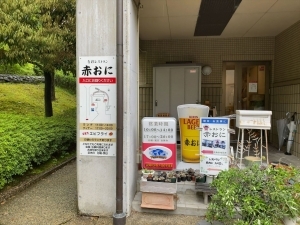 赤おに的实拍高清图