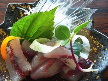 坂本屋的實拍圖