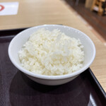 えび豚骨拉麺 春樹 南砂町スナモ店的實拍圖