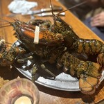 EBIZO的實拍圖