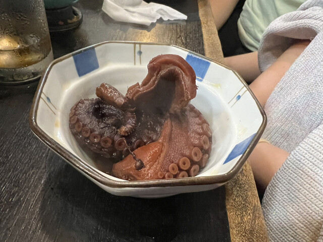 たこ入道的实拍高清图