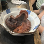 たこ入道的实拍图