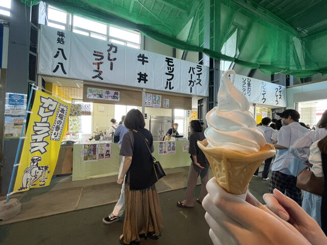 八八的实拍高清图